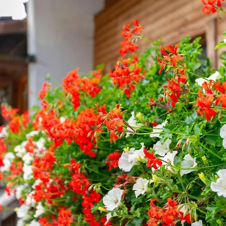 Am Bauernhof 2 Lägenhet