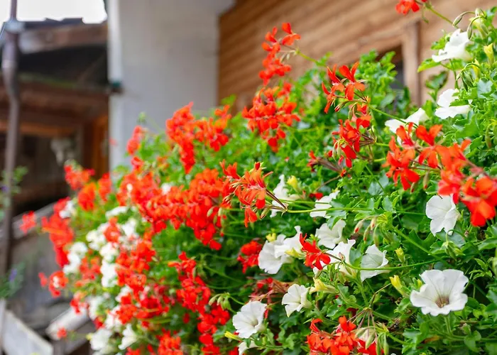 Am Bauernhof 2 Appartamento